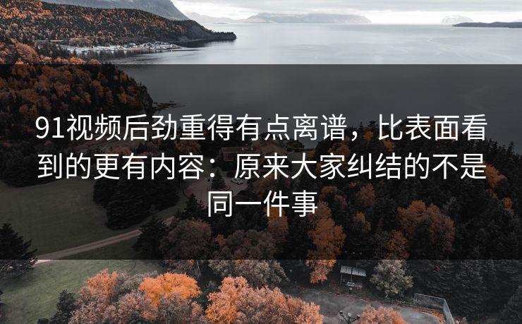 91视频后劲重得有点离谱，比表面看到的更有内容：原来大家纠结的不是同一件事