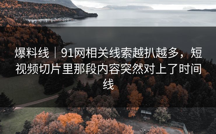爆料线｜91网相关线索越扒越多，短视频切片里那段内容突然对上了时间线