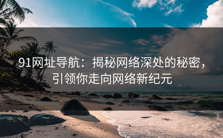 91网址导航：揭秘网络深处的秘密，引领你走向网络新纪元
