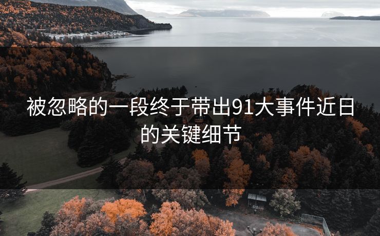 被忽略的一段终于带出91大事件近日的关键细节