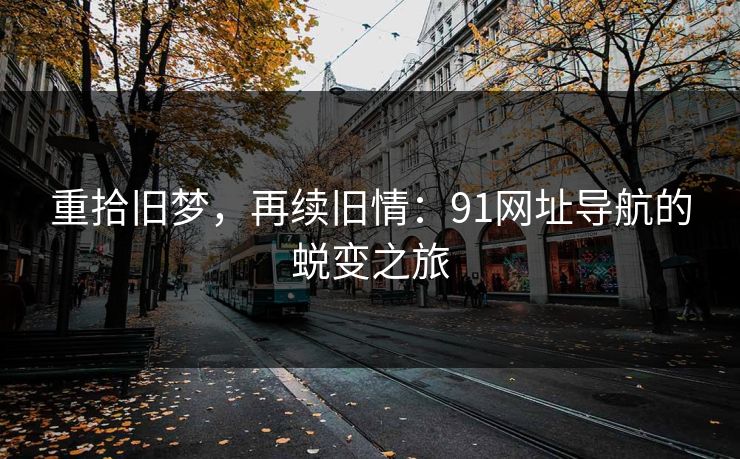 重拾旧梦，再续旧情：91网址导航的蜕变之旅