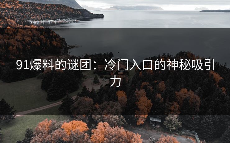 91爆料的谜团：冷门入口的神秘吸引力
