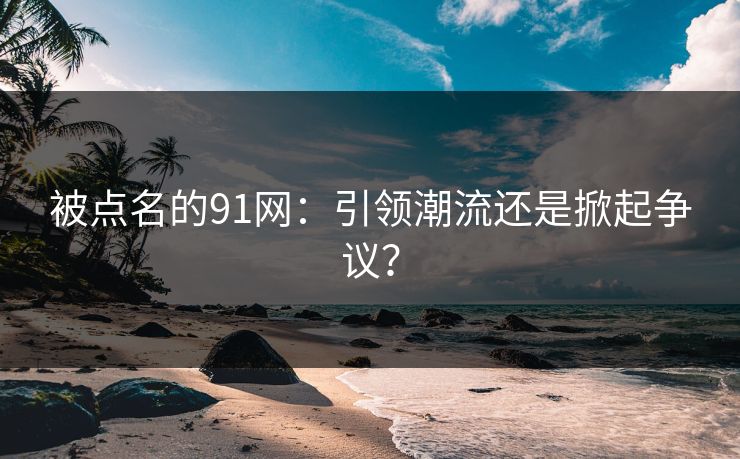 被点名的91网：引领潮流还是掀起争议？