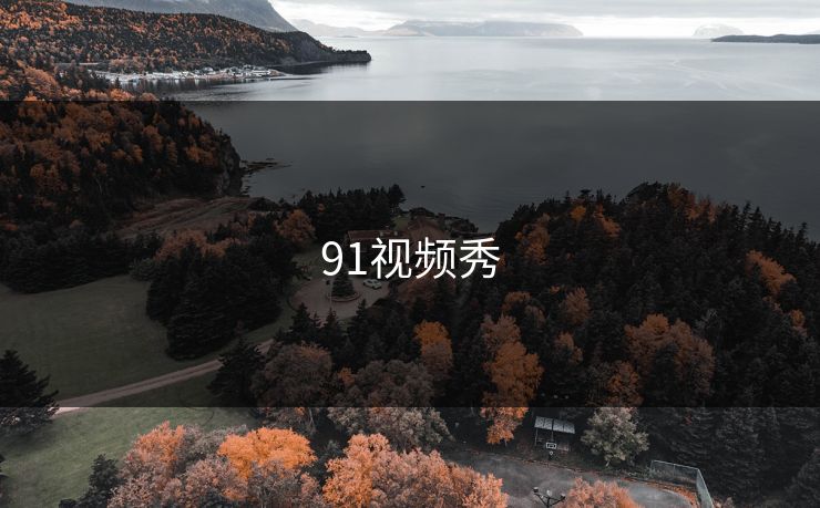 91视频秀