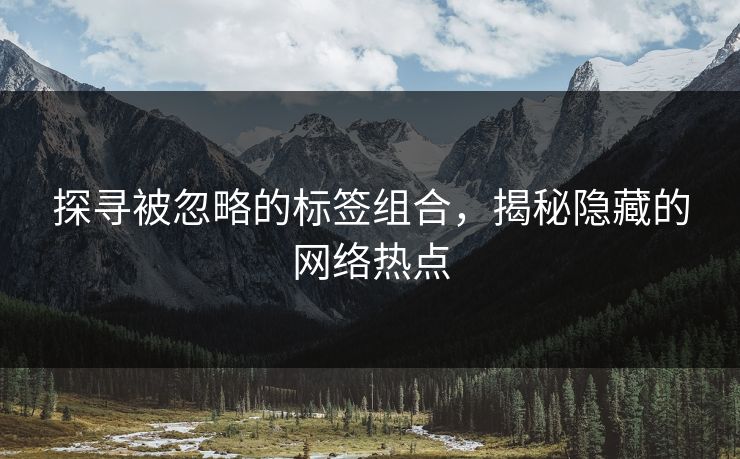 探寻被忽略的标签组合，揭秘隐藏的网络热点