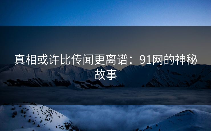 真相或许比传闻更离谱：91网的神秘故事